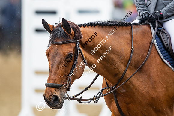 The Royal Windsor Horse Show
