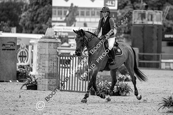 The Royal Windsor Horse Show
