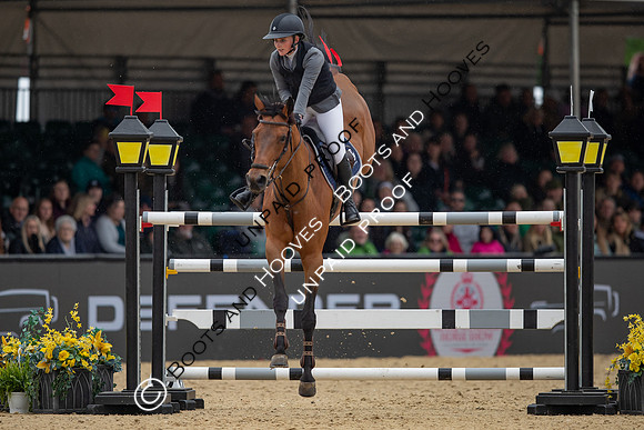 The Royal Windsor Horse Show
