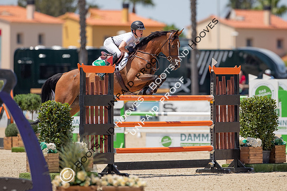 FEI Junior European Championship Young Riders, Juniors & Childre