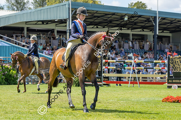 The Agria Royal International Horse Show