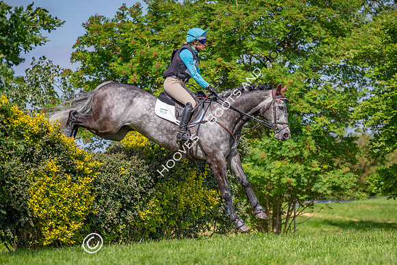 The Childeric Saddles Little Downham (1)