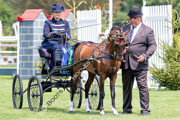 The Prenetics Royal International Horse Show