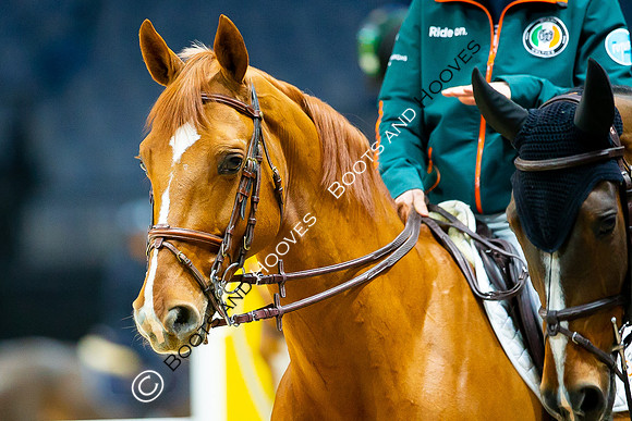 Showjumping