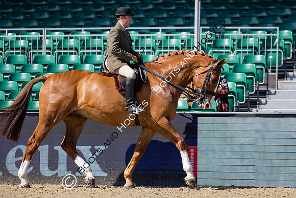 Royal Windsor Horse Show
