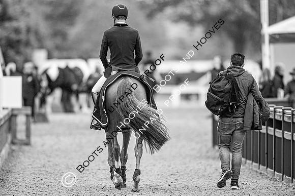 The Royal Windsor Horse Show