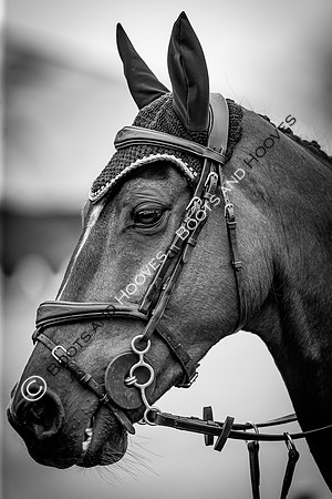 Badminton Horse Trials presented by Mars Equestrian