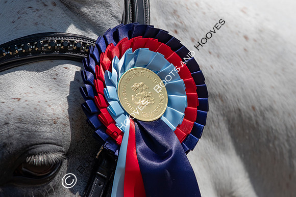 I.C.E. HORSEBOXES ALL ENGLAND DRESSAGE FESTIVAL 2023