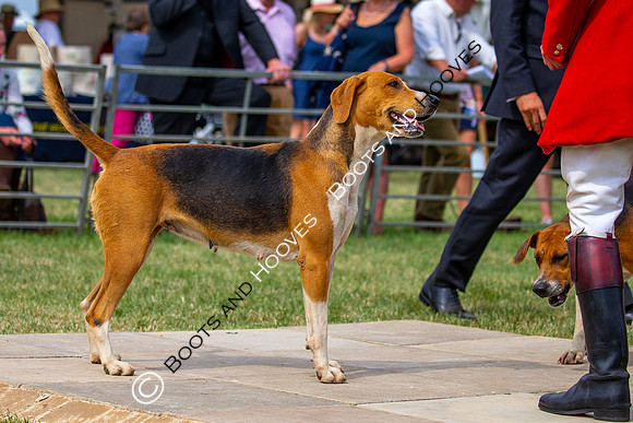Festival of Hunting