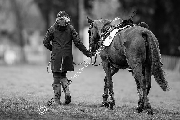 Badminton Horse Trials presented by Mars Equestrian