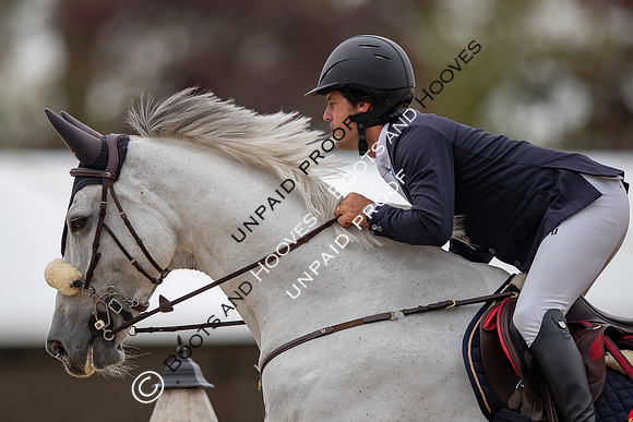 The Royal Windsor Horse Show