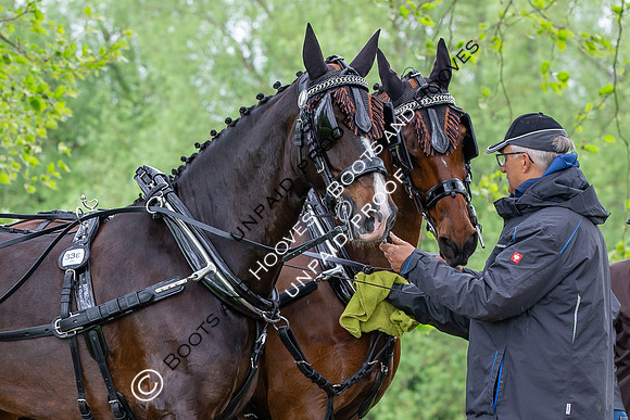 The Royal Windsor Horse Show