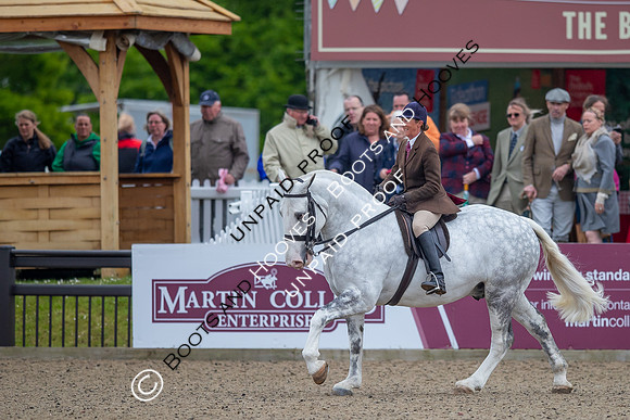 The Royal Windsor Horse Show