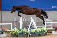 The Billy Stud Auction