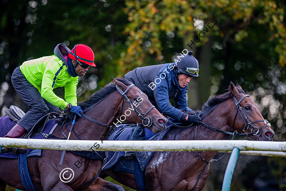 Newmarket