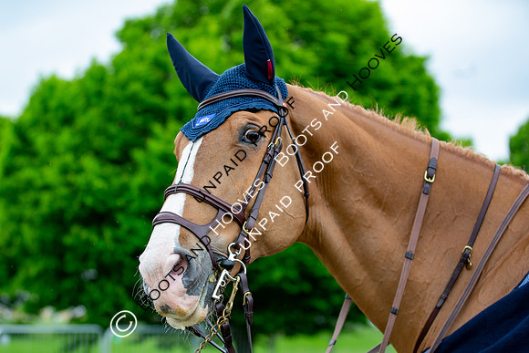 The Royal Windsor Horse Show
