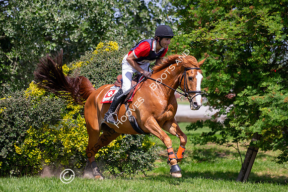 The Childeric Saddles Little Downham (1)