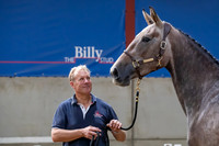 The Billy Stud Auction