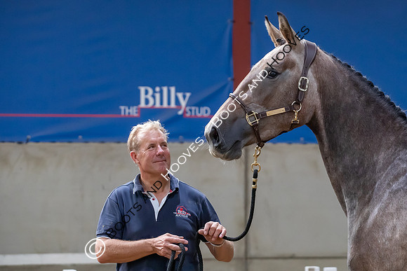The Billy Stud Auction