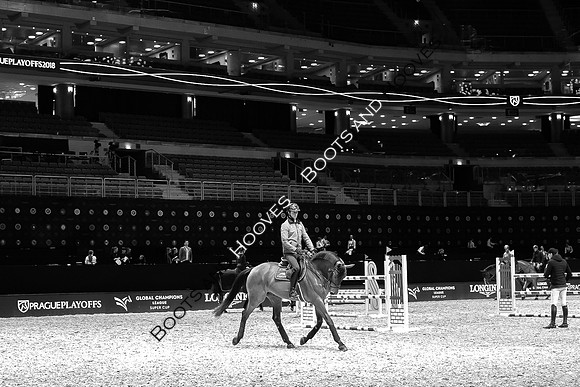 Showjumping