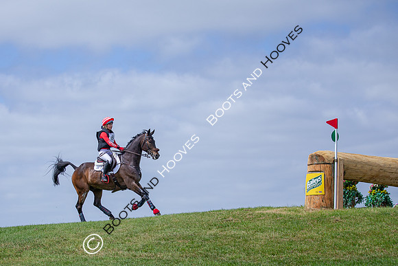 The Childeric Saddles Little Downham (1)