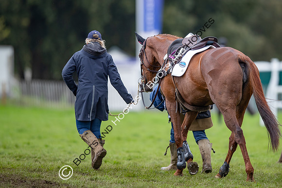 Badminton Horse Trials presented by Mars Equestrian