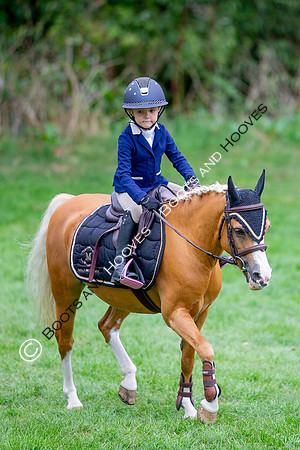 Science Supplements All England Jumping Championships
