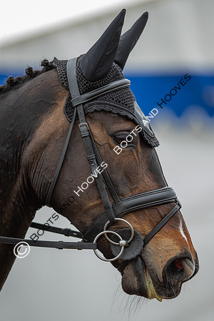 Badminton Horse Trials presented by Mars Equestrian