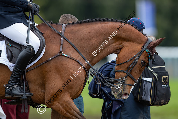 Badminton Horse Trials presented by Mars Equestrian