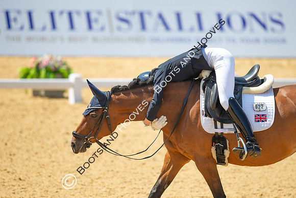 I.C.E. HORSEBOXES ALL ENGLAND DRESSAGE FESTIVAL 2023