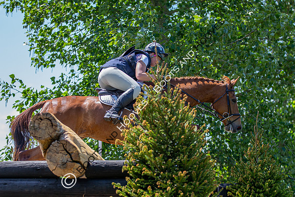 The Childeric Saddles Little Downham (1)