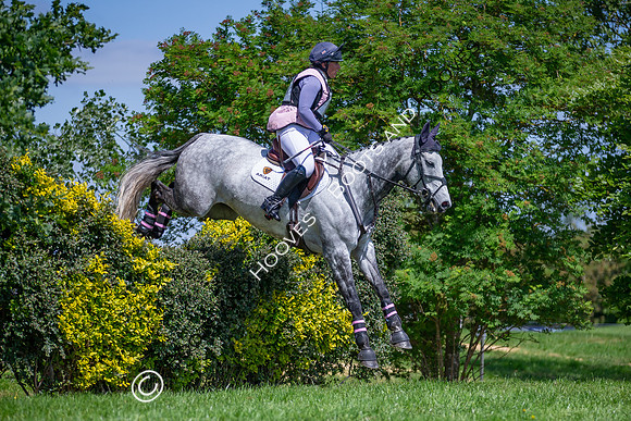 The Childeric Saddles Little Downham (1)