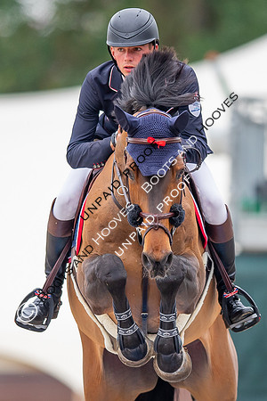 The Royal Windsor Horse Show
