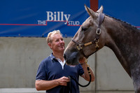 The Billy Stud Auction