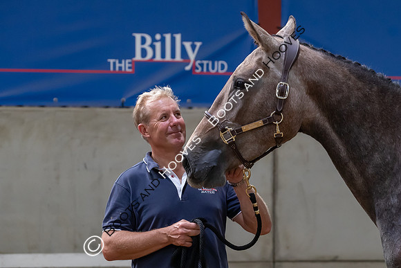 The Billy Stud Auction