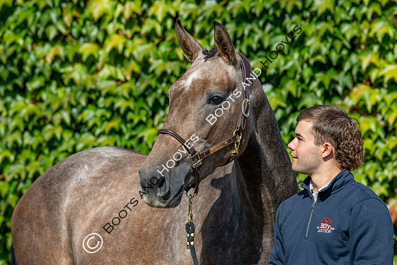 The Billy Stud Auction