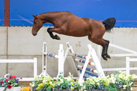 The Billy Stud Auction