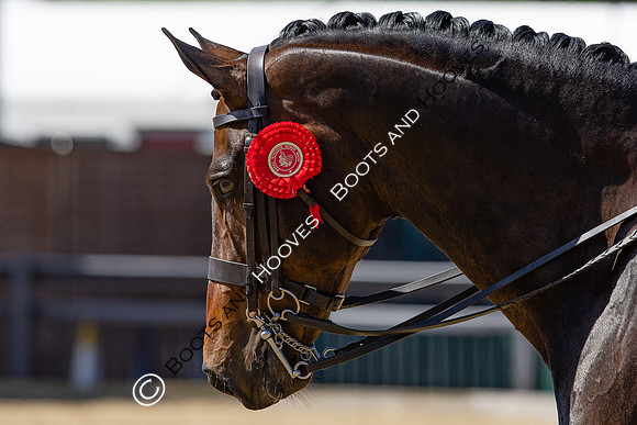 Royal Windsor Horse Show