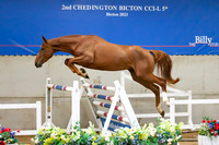 The Billy Stud Auction