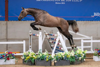 The Billy Stud Auction