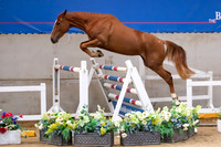 The Billy Stud Auction