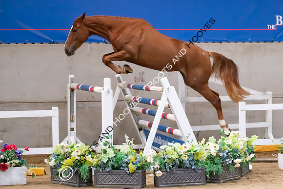 The Billy Stud Auction