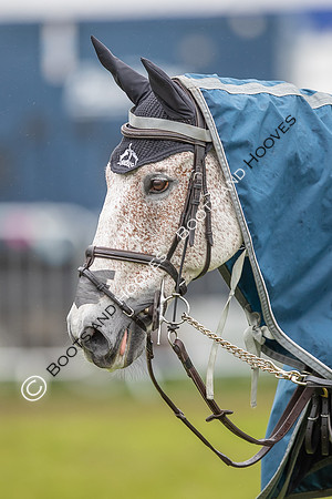 Badminton Horse Trials presented by Mars Equestrian