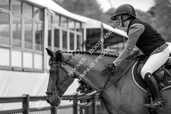 The Royal Windsor Horse Show