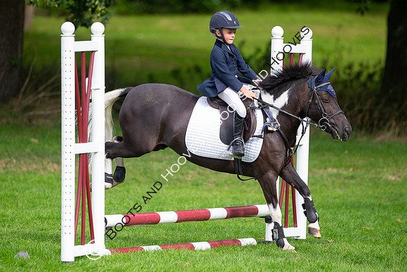 Science Supplements All England Jumping Championships