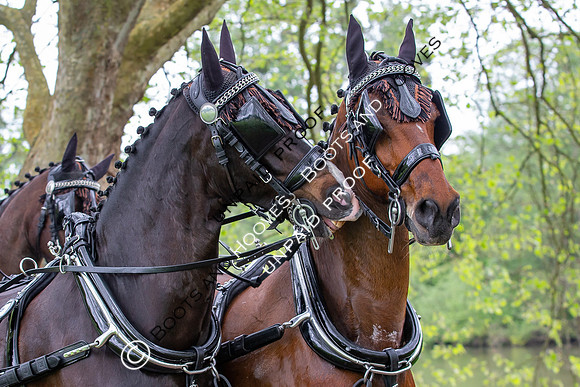 The Royal Windsor Horse Show