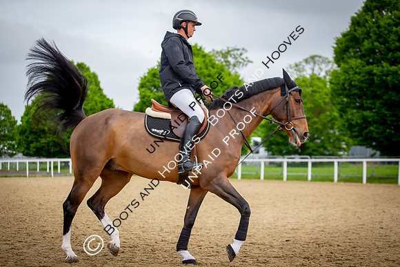 The Royal Windsor Horse Show