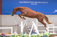The Billy Stud Auction