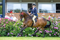 The Agria Royal International Horse Show