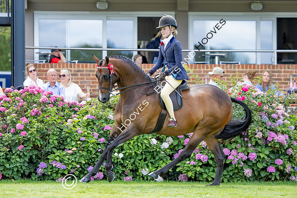 The Agria Royal International Horse Show